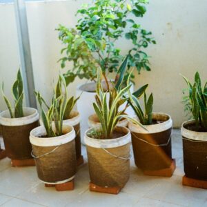 Hogyan alakíthatunk ki burjánzó és pihentető kiskertet a legkisebb erkélyen is