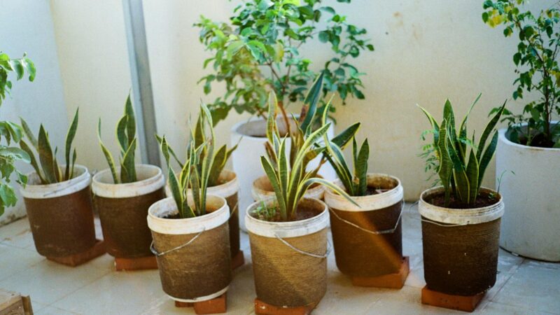 Hogyan alakíthatunk ki burjánzó és pihentető kiskertet a legkisebb erkélyen is