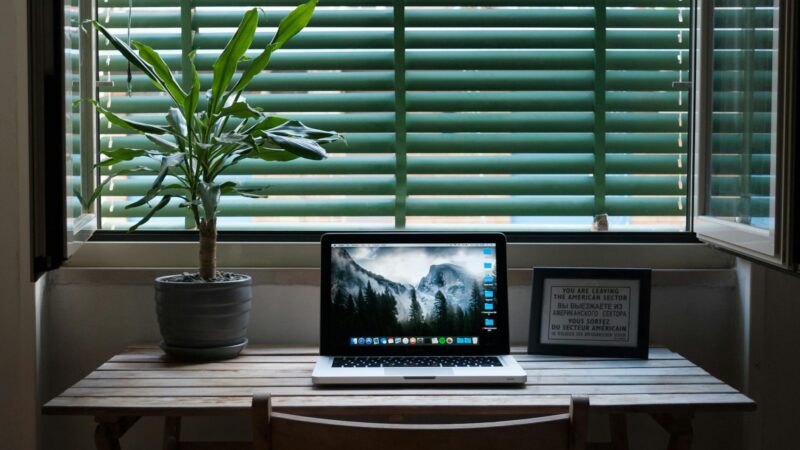 Miért érdemes az ablak mellé és zöld növények közé tervezni az otthoni íróasztalt?