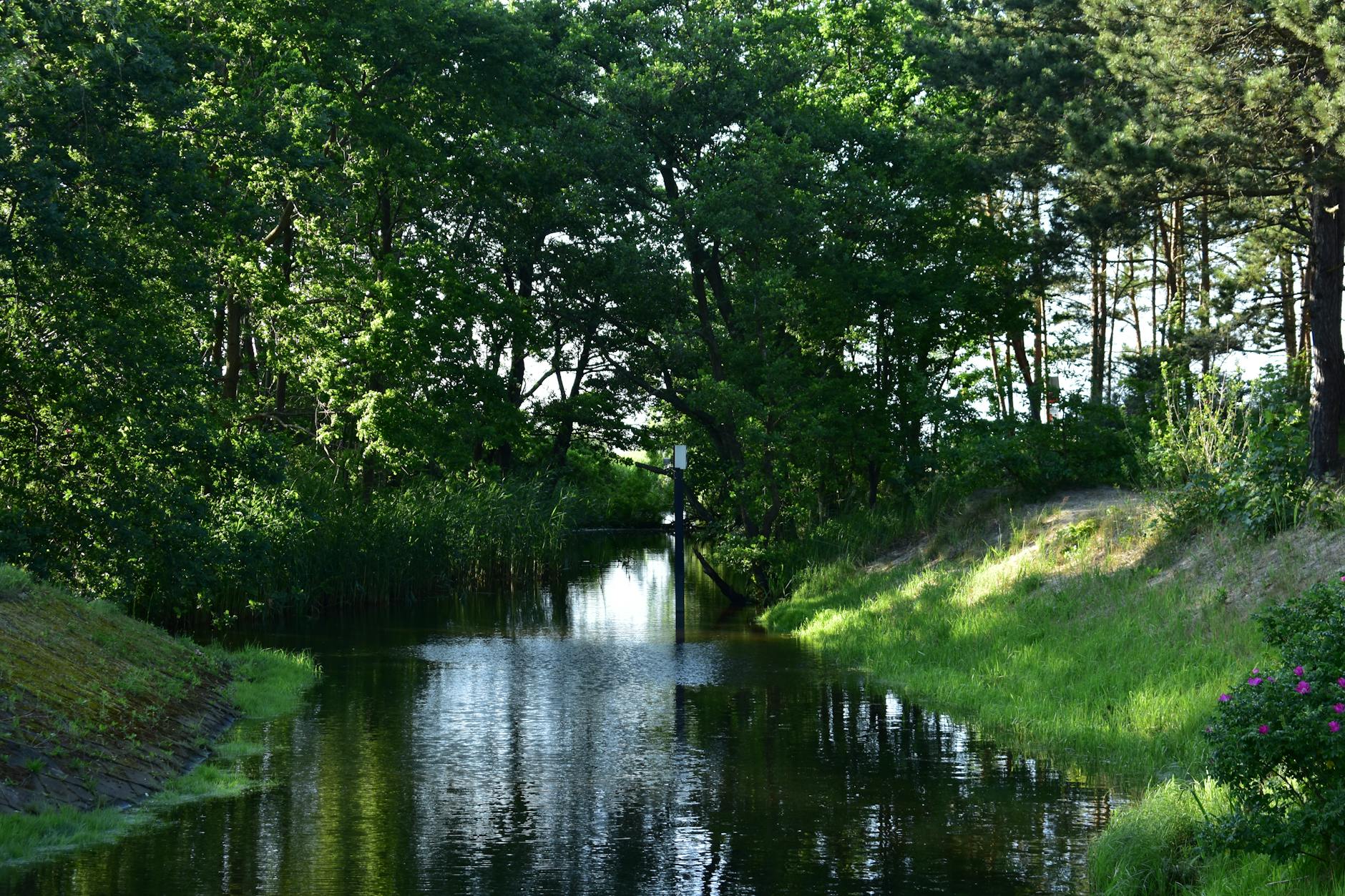 Miért fontos néha megengedni magunknak a szomorúságot?