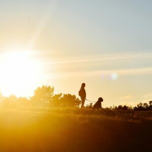 Miért érdemes minden nap legalább fél órát sétálni?