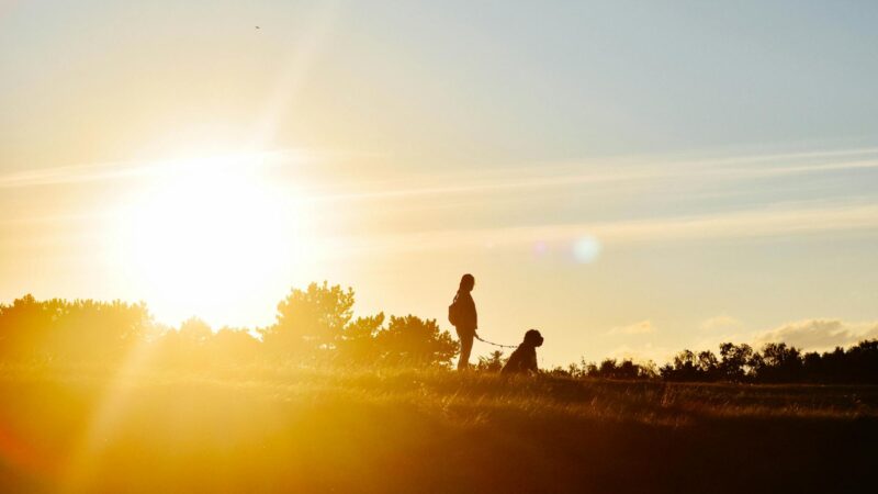 Miért érdemes minden nap legalább fél órát sétálni?