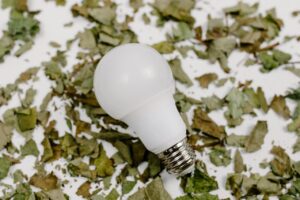Fenntartható otthon: Hogyan csökkentsük a háztartási hulladékot és az áramfogyasztást?